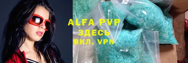 индика Белокуриха