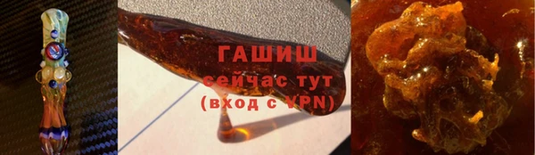 индика Белокуриха