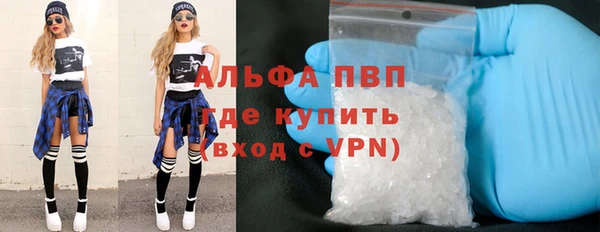 индика Белокуриха