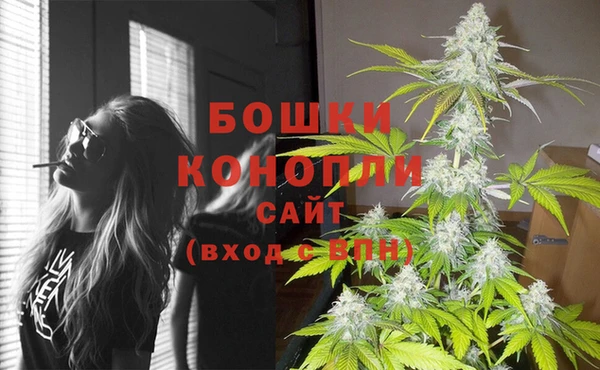 ГАЛЛЮЦИНОГЕННЫЕ ГРИБЫ Белоозёрский