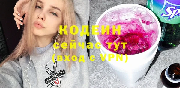 хмурый Богородицк