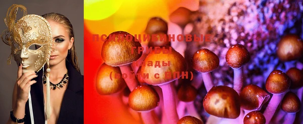 индика Белокуриха