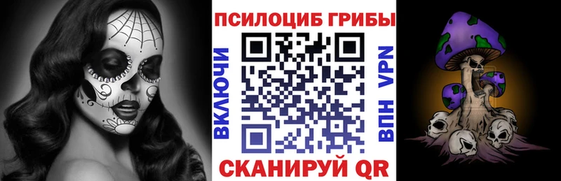 закладки Гай Псилоцибиновые грибы мицелий