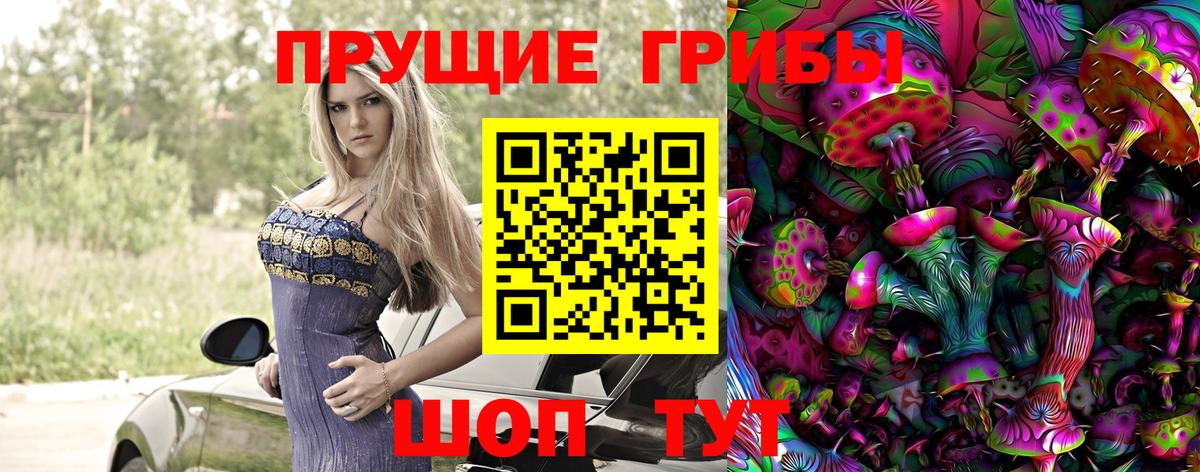 Псилоцибиновые грибы Magic Shrooms  Галлюциногенные грибы Cubensis  где найти наркотики  Гай 