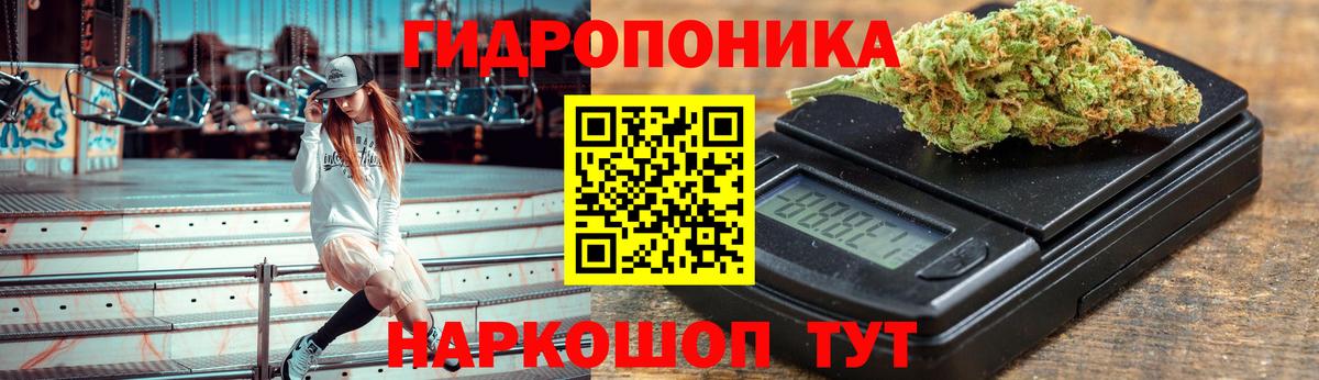 Марихуана планчик Гай